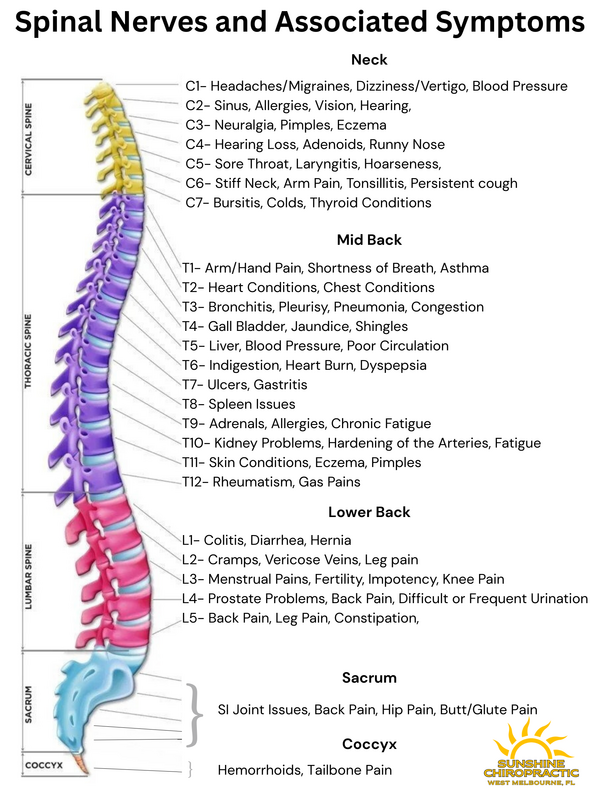 Chiropractic treatment for TMJ and jaw pain